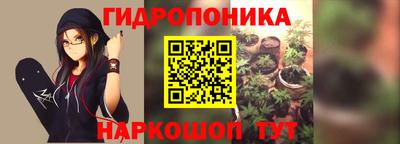 гашик Будённовск