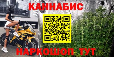 гашик Будённовск